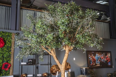 Olive Tree Bar Table - 2.3m Tree